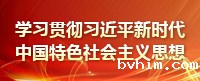 学习贯彻习近平新时代中国特色社会主义思想